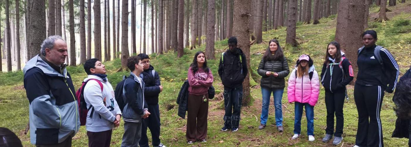 Die 3c erlebt einen spannenden Projekttag in der Erlebnisfabrik Wald.